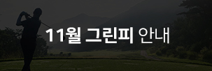 11월요금
